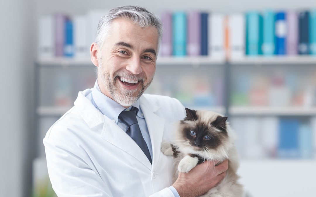 Simplifiez la Gestion des Vaccins et Traitements de Vos Animaux avec Notre Application