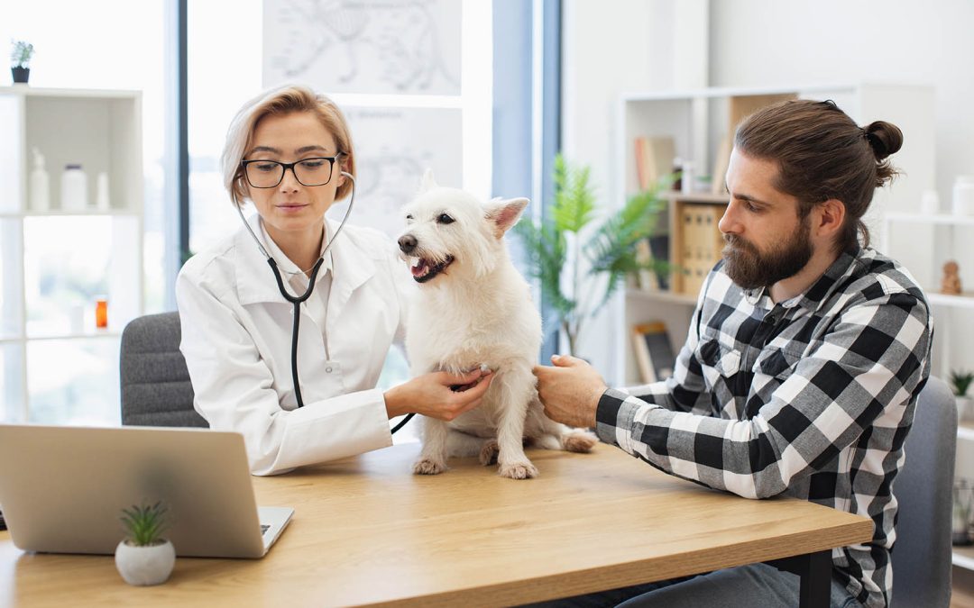 La Prévention : Le Meilleur Allié de la Santé de Votre Compagnon