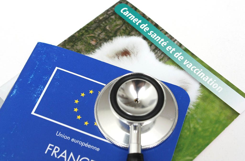 Photographiez et Enregistrez Facilement les Documents de Santé de Vos Animaux avec Notre Appli